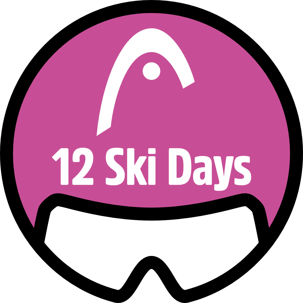 12 Skidays pin