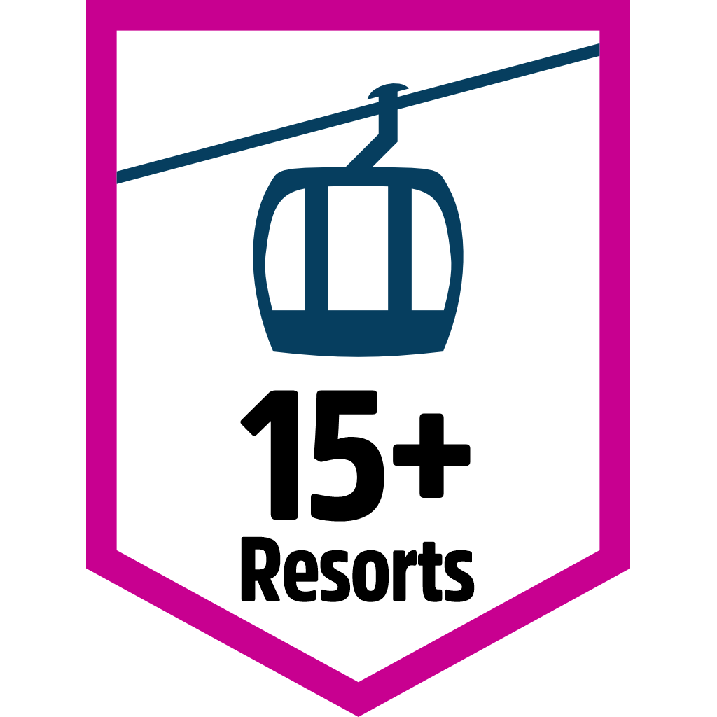 15 Resorts pin
