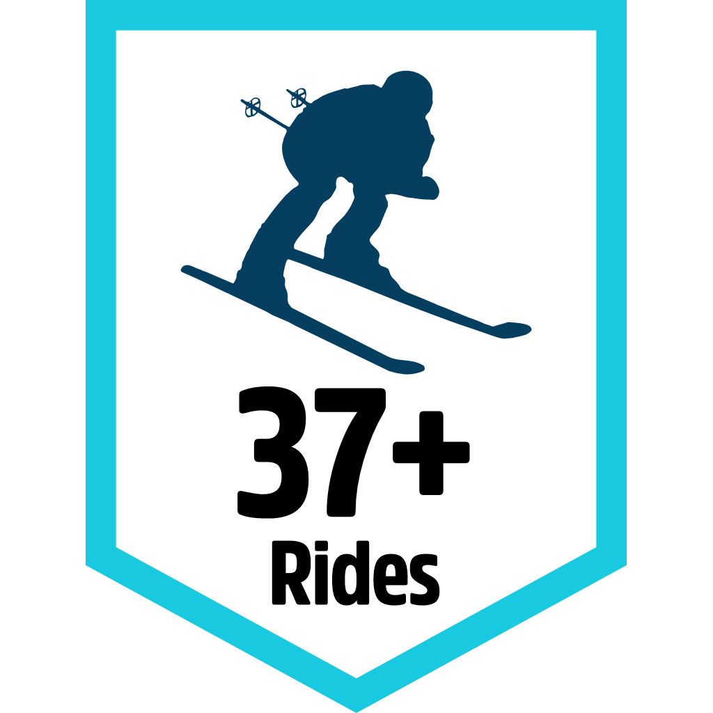 37 Downhill Ride pin