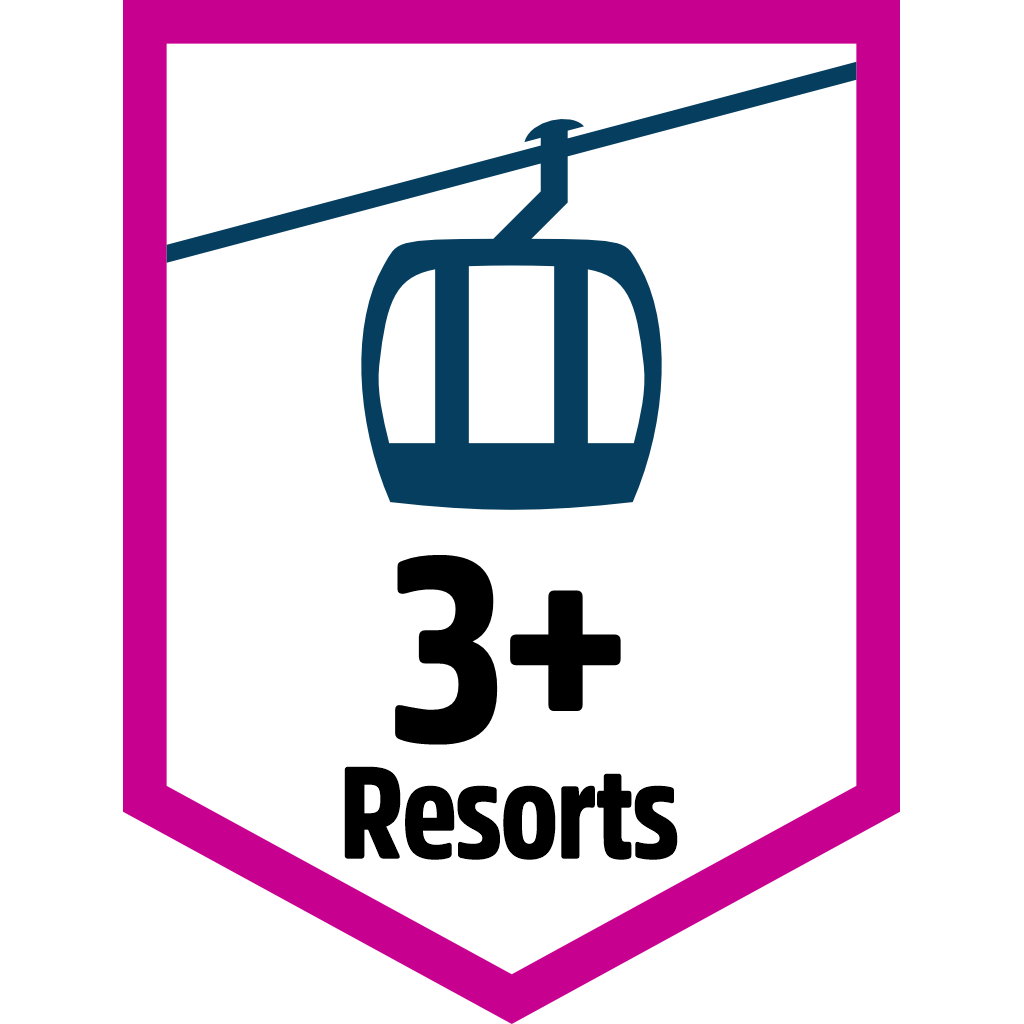 3 Resorts pin