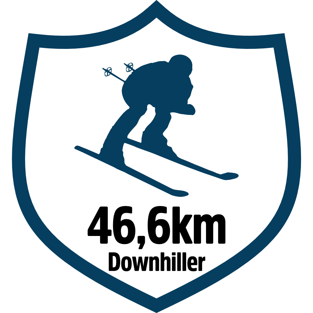 46km Downhiller pin