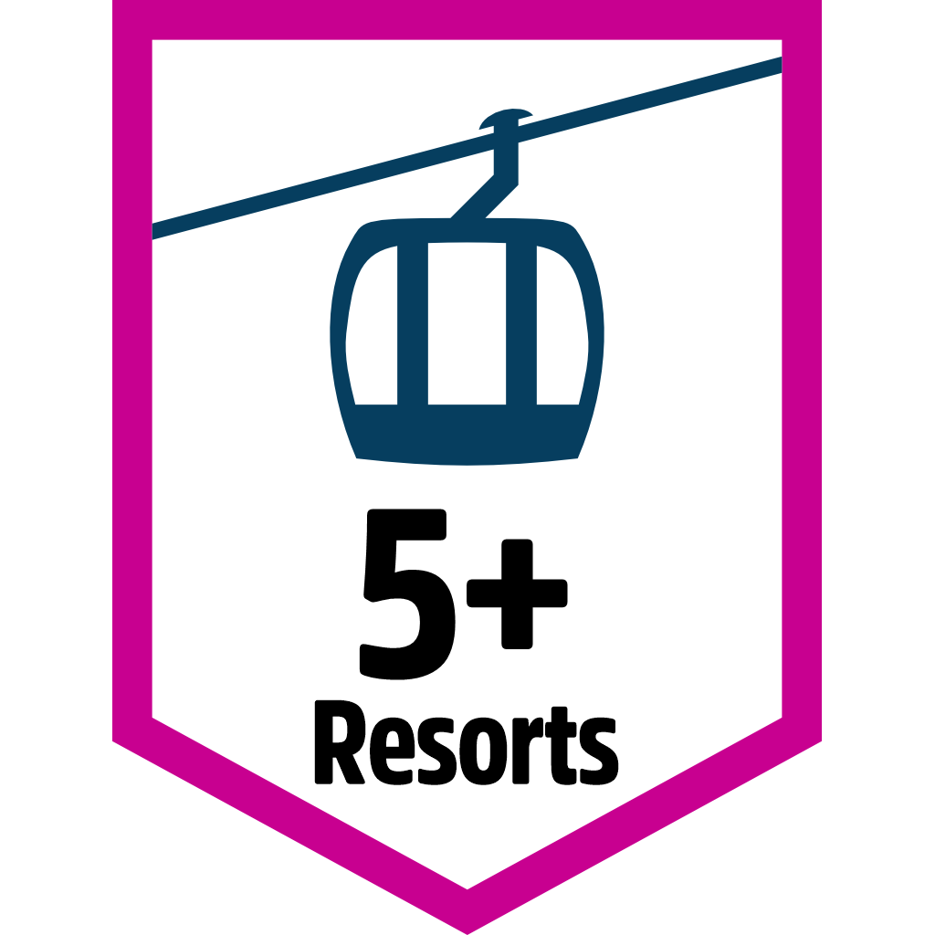 5 Resorts pin