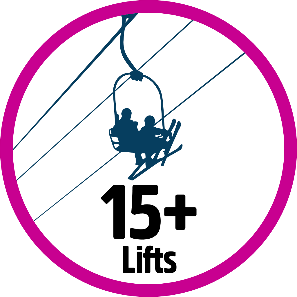 Lift Collector 15 pin