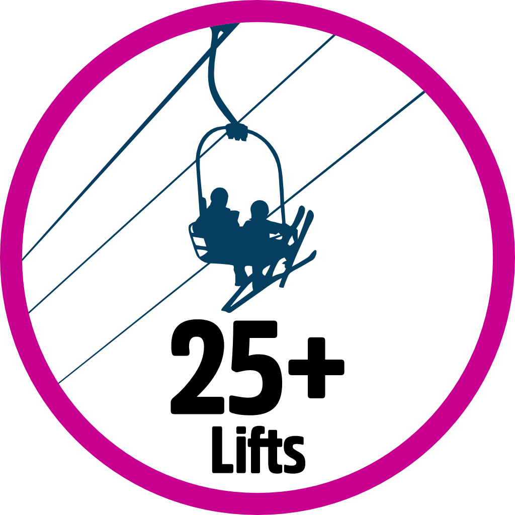 Lift Collector 25 pin