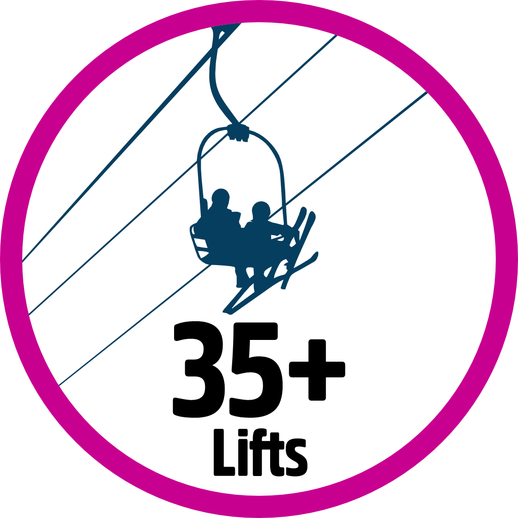 Lift Collector 35 pin