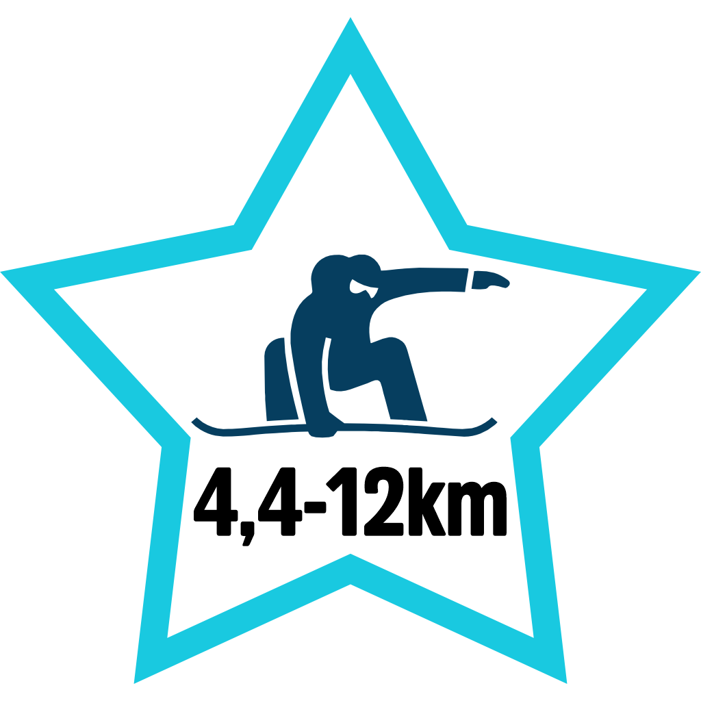 Real Snowboarder pin