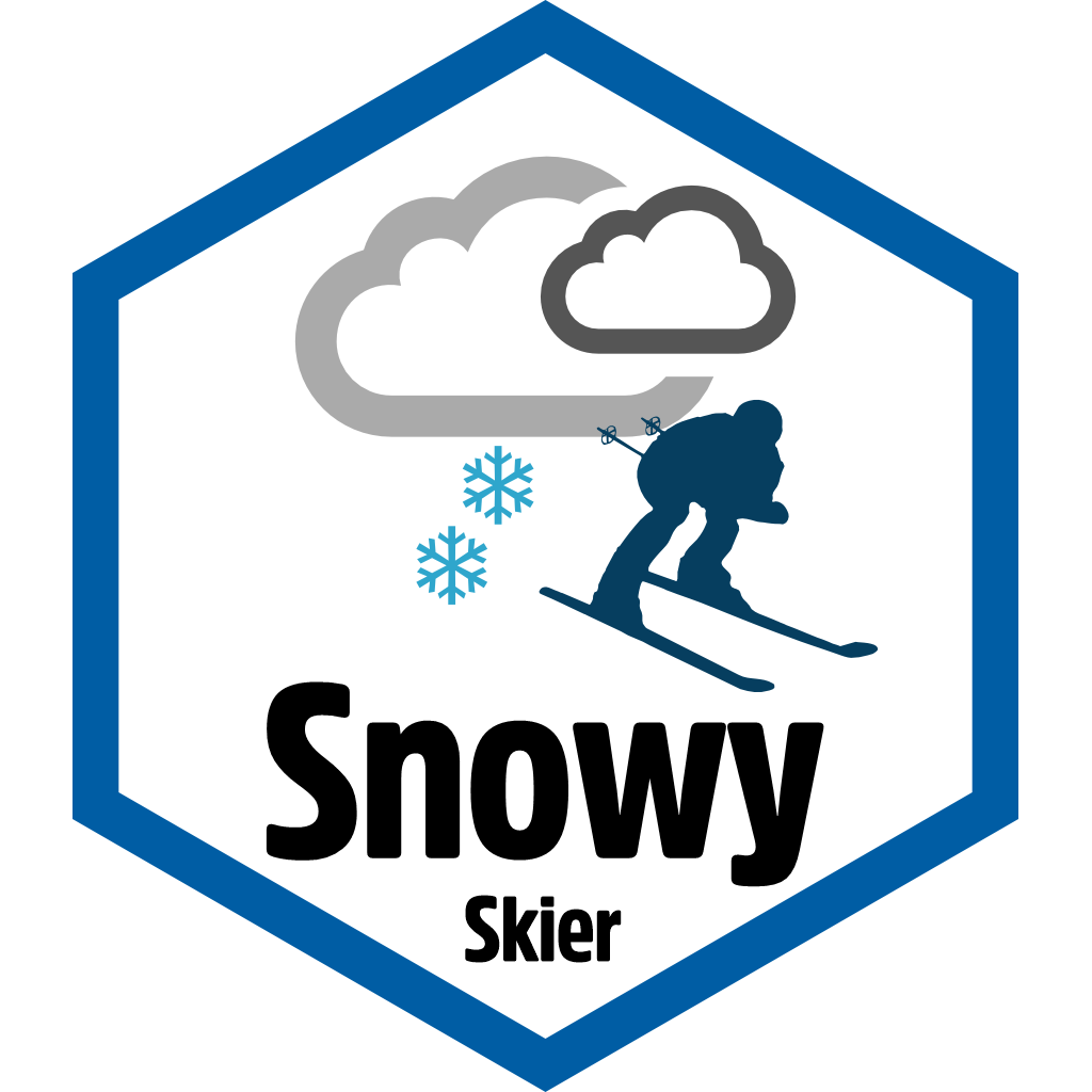 Snowy Skier pin
