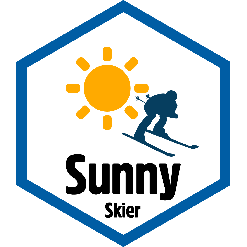 Sunny Skier pin