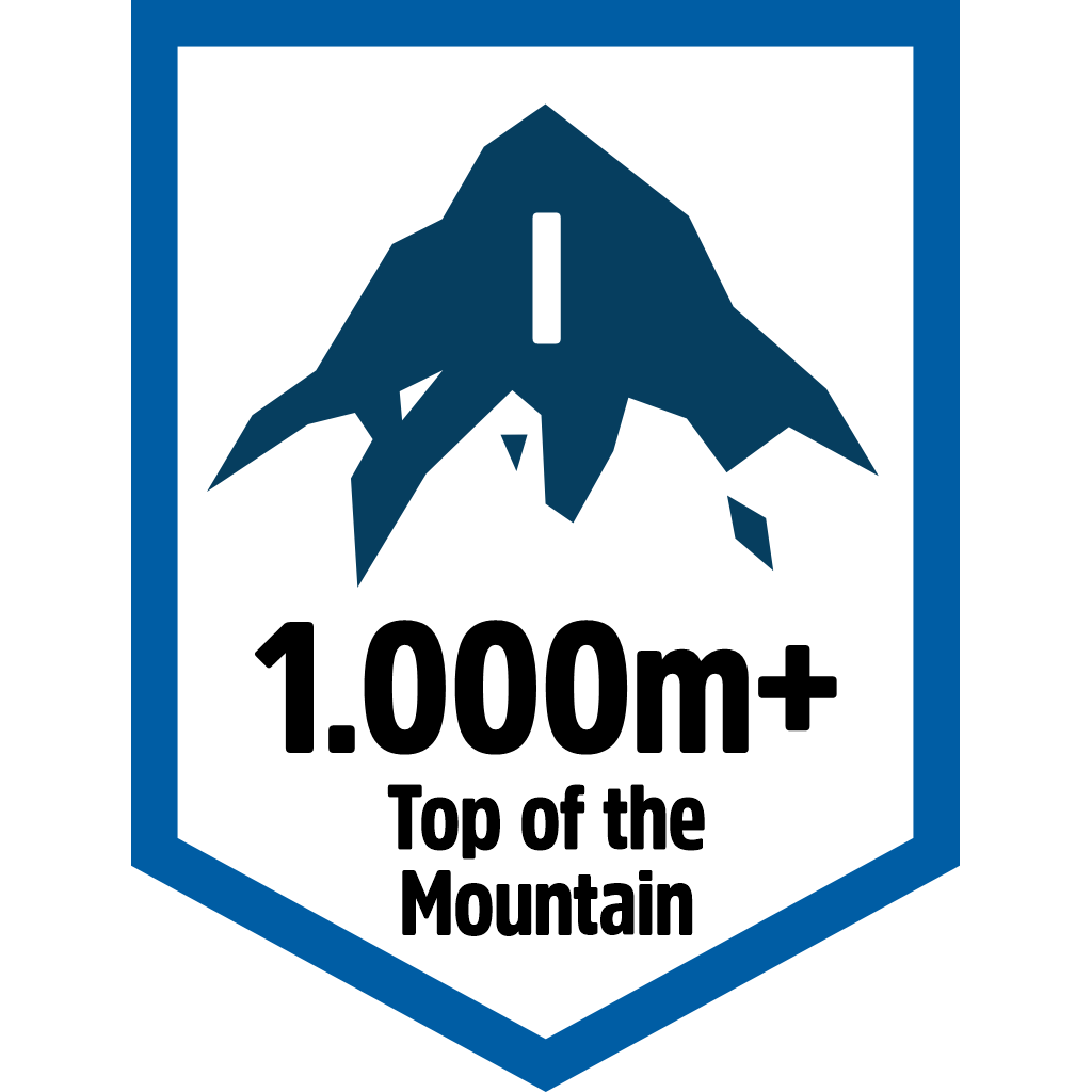 1.000m+ Top of the Mountain pin
