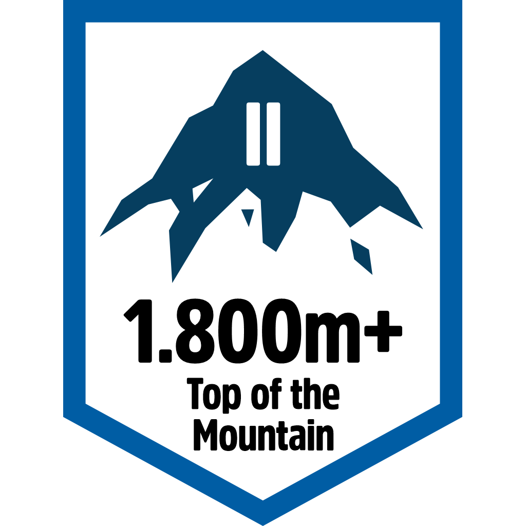 Top Mountain 1800m pin