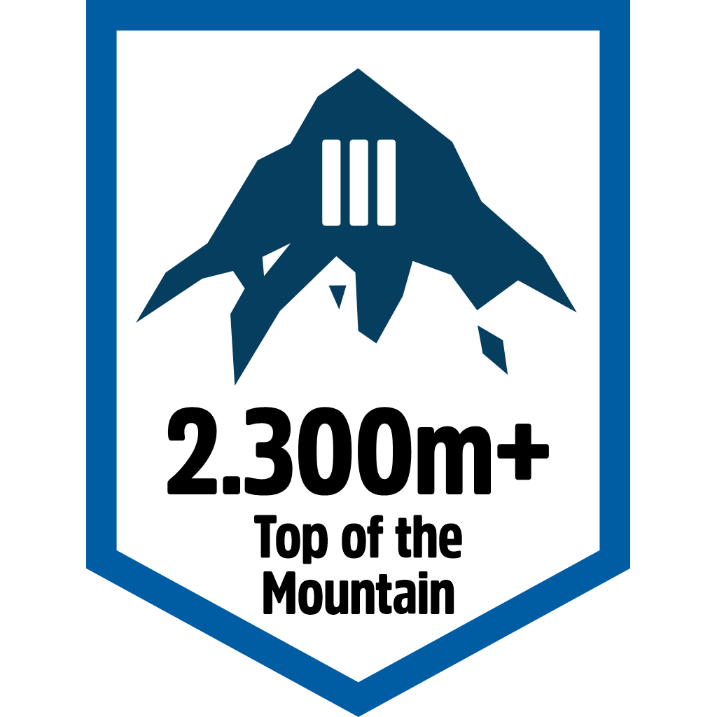 Top Mountain 2300m pin
