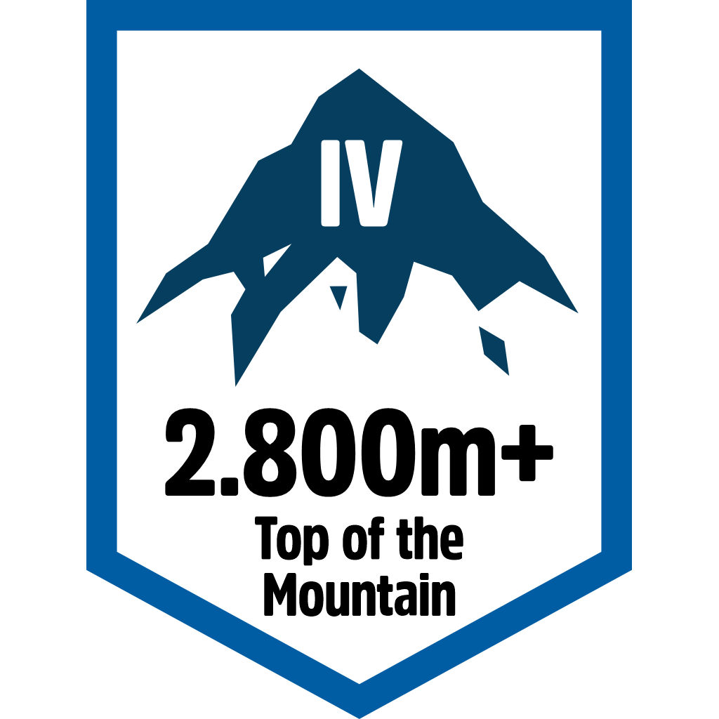 Top Mountain 2800m pin