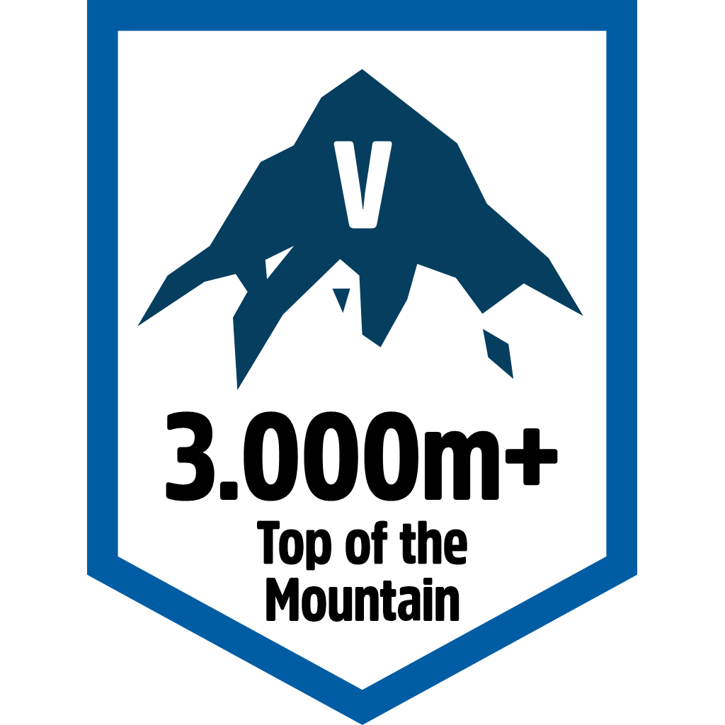 Top Mountain 3000m pin