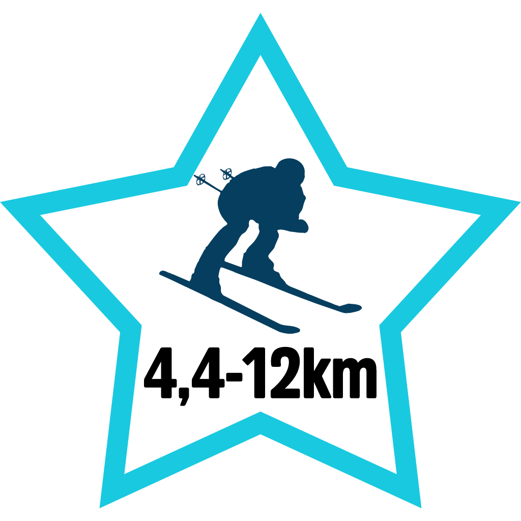 Top Skier pin