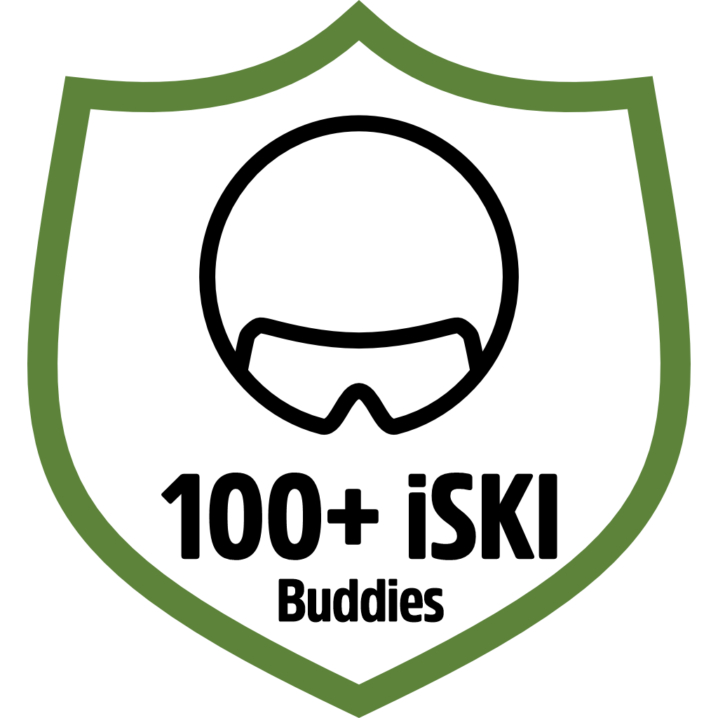 iSKI Buddy 100 pin