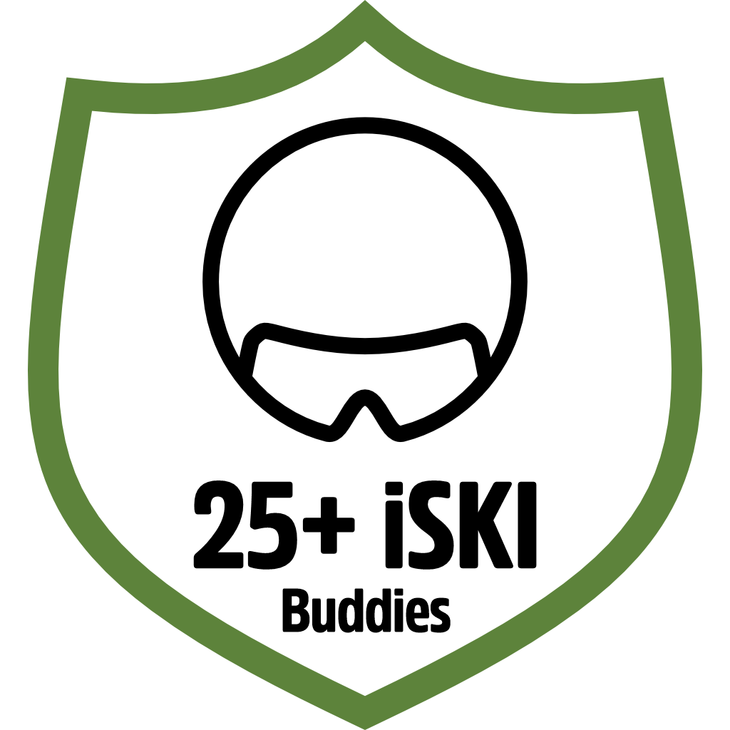 iSKI Buddy 25 pin