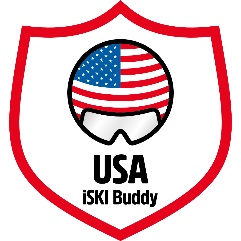 iSKI Buddy USA pin